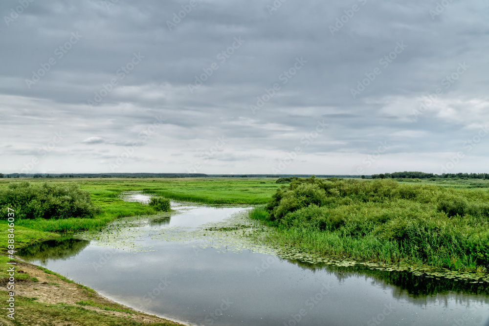Landscape of Biebrza National Park, Biebrza river and wetland,  meadows, swamps. Podlaskie Voivodeship, Poland.
