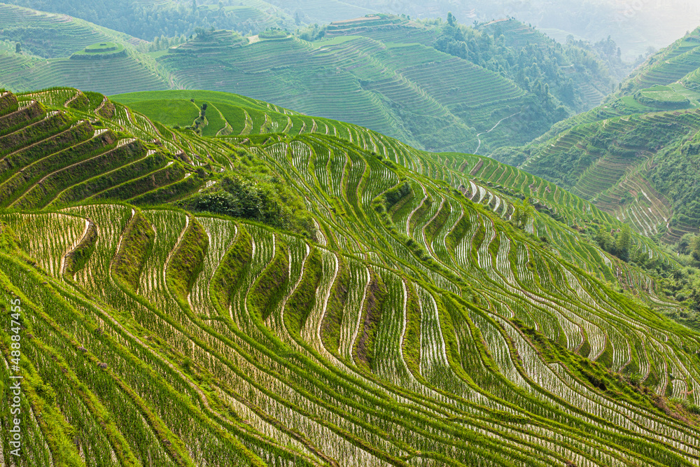 Landscape with the traditional Longsheng rice terraces in summer, Guangxi Province, China
