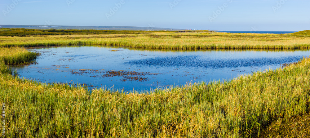 Panorama of a landscape with swamp and small lake on the Varanger peninsula, Finnmark, Norway
