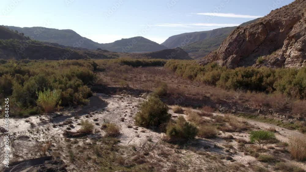 flying over a forest of bushes and trees