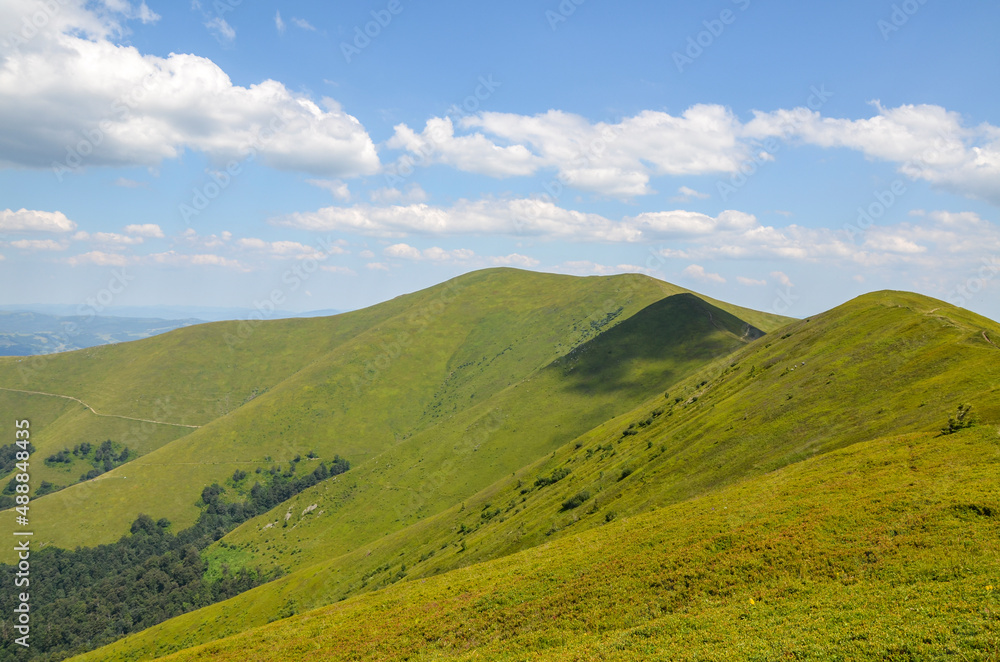 Panoramic view to mountain range with slopes covered blueberries and grassy meadow of Borzhava ridge of the Ukrainian Carpathian Mountains