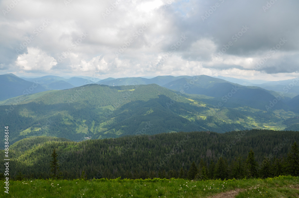 Green meadow in front of edge of the forest and mountain range on background. Carpathian Mountains, Ukraine