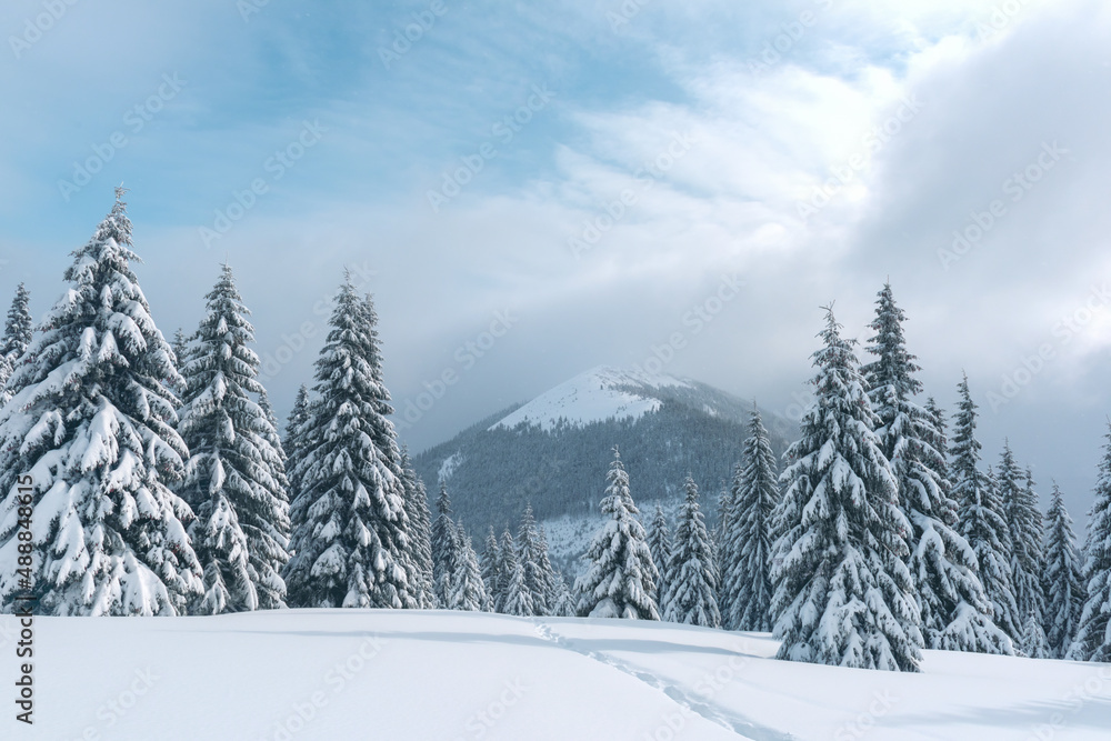 Fantastic winter landscape with snowy trees and snowy peaks. Carpathian mountains, Ukraine. Christmas holiday background. Landscape photography