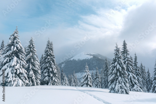 Fantastic winter landscape with snowy trees and snowy peaks. Carpathian mountains, Ukraine. Christmas holiday background. Landscape photography © Ivan Kmit