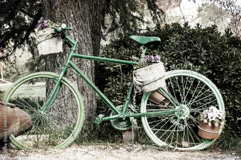 Vintage painted green bicycle carrying potted flowers