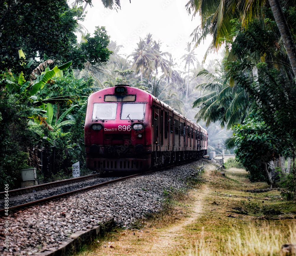 Obraz premium train on the railway