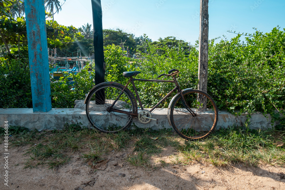 Fototapeta premium old bicycle in topical country sri lanka.