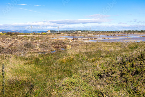 Ancien salin près de la Réserve naturelle régionale de Sainte-Lucie à Port-la-Nouvelle (Occitanie, France)