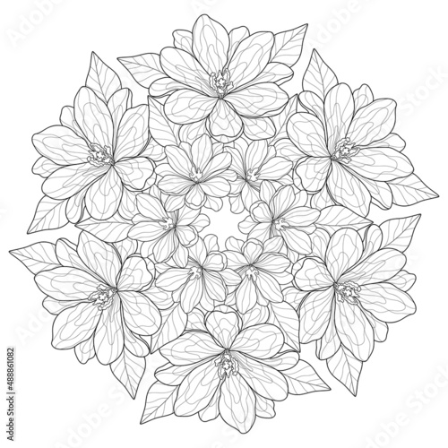 Natural mandala with flowers and leaves on a white isolated background. Bouquet. For coloring book pages.