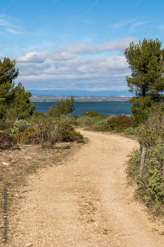 Chemin de randonnée et de promenade de la Réserve naturelle régionale de Sainte-Lucie à Port-la-Nouvelle (Occitanie, France) Chemin de randonnée et de promenade de la Réserve naturelle régionale de Sainte-Lucie à Port-la-Nouvelle (Occitanie, France)