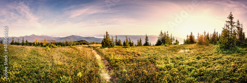 Panorama morning view of the Carpathian mountains. Morning on the Montenegrin ridge, Transcarpathia, Ukraine, Europe. Beauty of nature, background concept