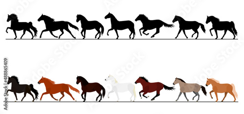 moving horse in a row with colours and silhouettes