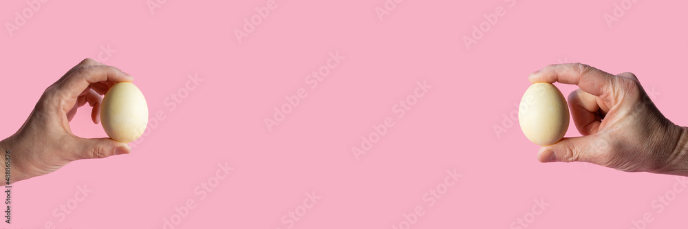 on a pink background, on the left, a female hand holds an Easter egg on the right, a male hand holds an Easter egg in light yellow color on a pink background, on the left, a female hand holds an Easter egg on the right, a male hand holds an Easter egg in light yellow color
