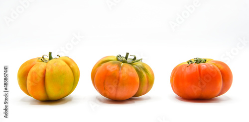 pomodori 
