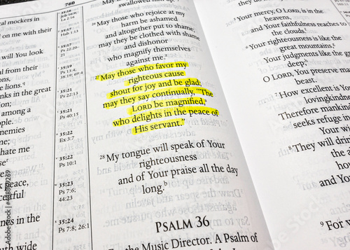 Obraz na płótnie Psalm Chapter thirty five verse twenty seven