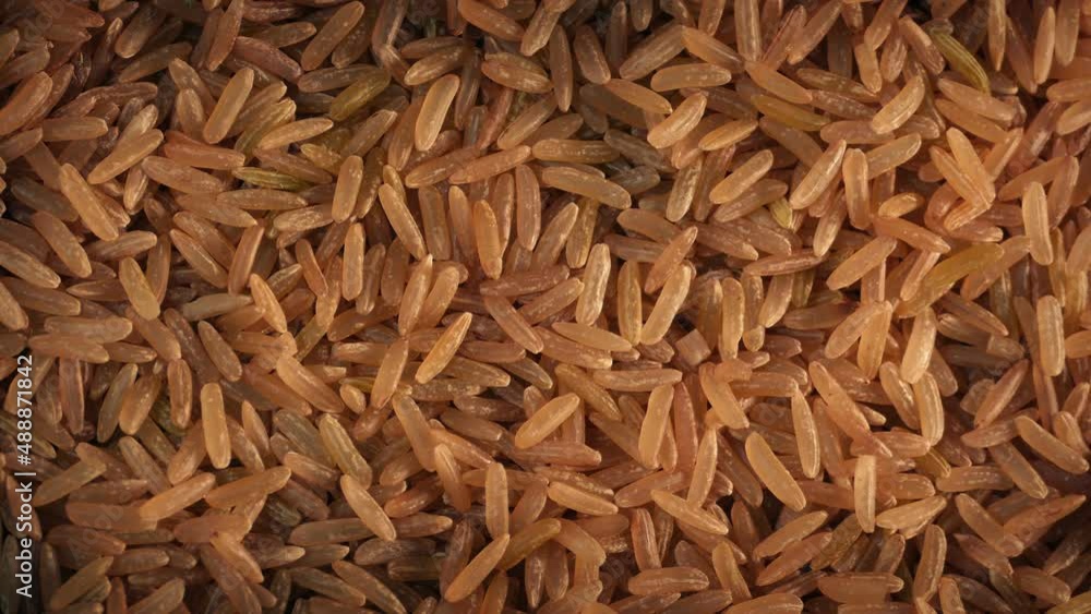 Golden Rice Grains Turning Slowly Golden Rice Grains Turning Slowly