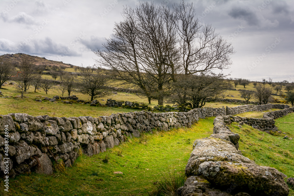 A stonewall path leads walkers away from Emsworthy Farm in Dartmoor National Park, England, UK