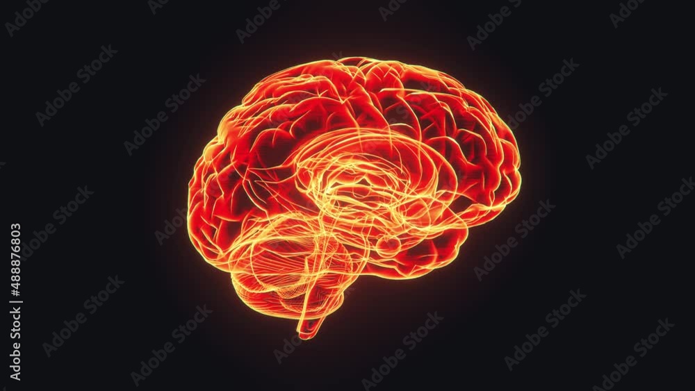 Brain hologram visualization looped animation Brain hologram visualization looped animation