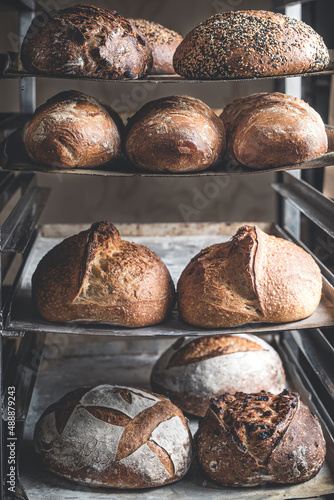 Freshly baked sourdough bread on a shelf