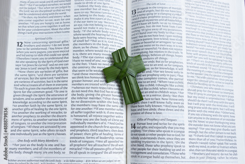 Photography Open bible with small palm leaf cross