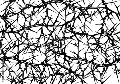 Hand drawn vector seamless black and white pattern of messy impenetrable tangled briar patch with thorns. photo