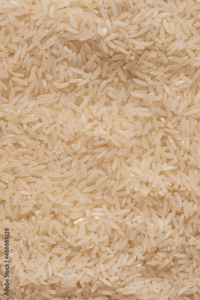 lots of uncooked white rice lots of uncooked white rice