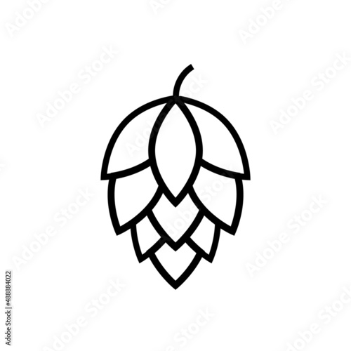 Hop icon vector beer cone pine illustration leaf art bud green decoration. Beer fresh hop icon isolated photo