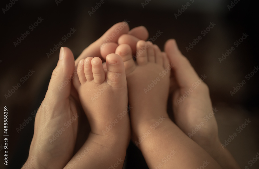 close up of mother holding tinny baby's feet, childcare and new life concept close up of mother holding tinny baby's feet, childcare and new life concept