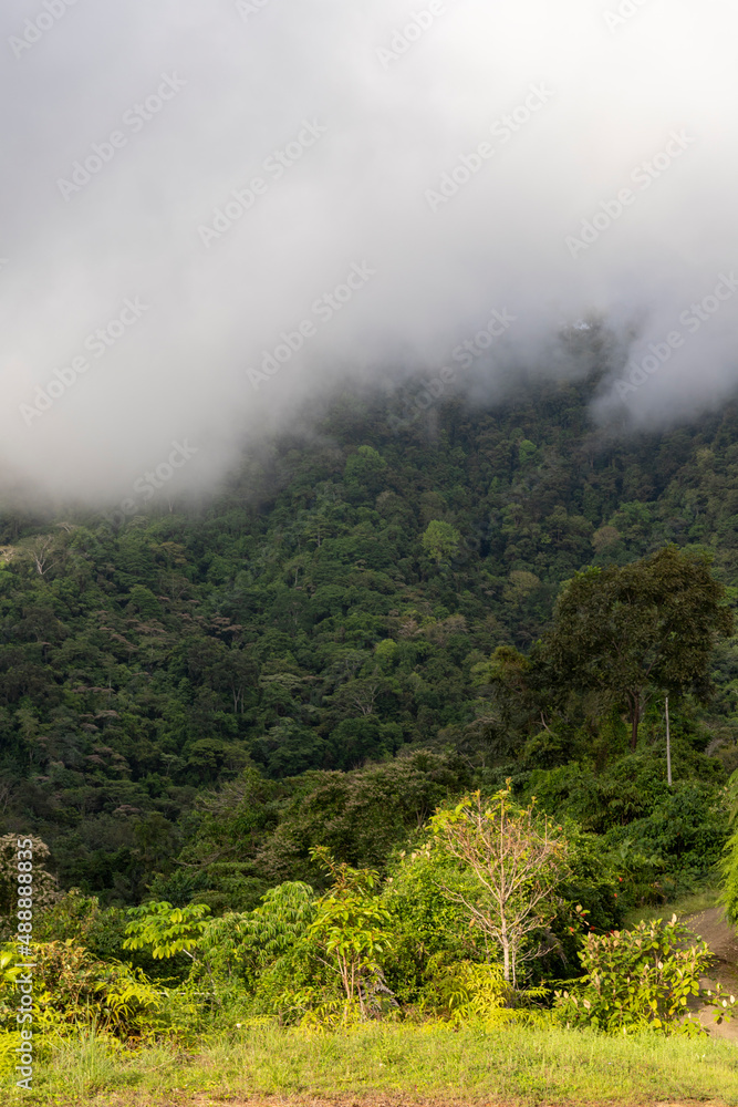 View over the treetops with cloudy skies in the rainforest of Costa Rica View over the treetops with cloudy skies in the rainforest of Costa Rica