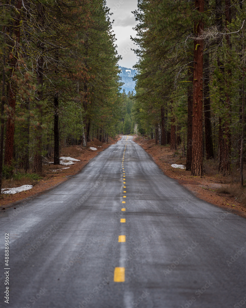 Fototapeta premium windy rural forest country road 