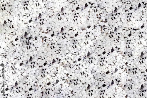 Texture of small white and black stones