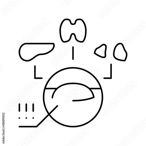 multiple endocrine neoplasia endocrinology line icon vector illustration