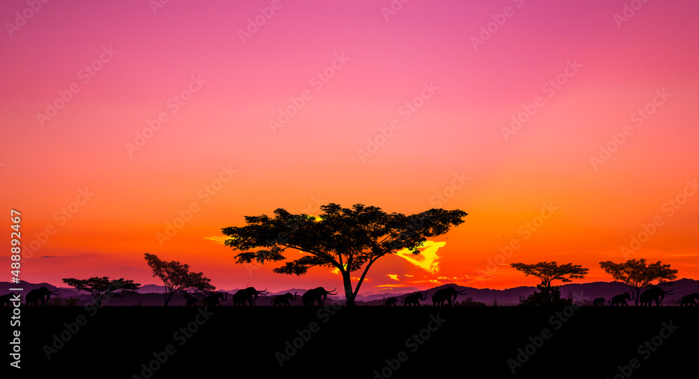 Amazing colorful  sunset landscape with fantastic colors in the sky. Beauty world natural outdoors travel background.with elephants