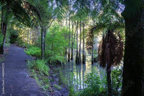 McLaren falls  Tauranga  scenic walks and lake