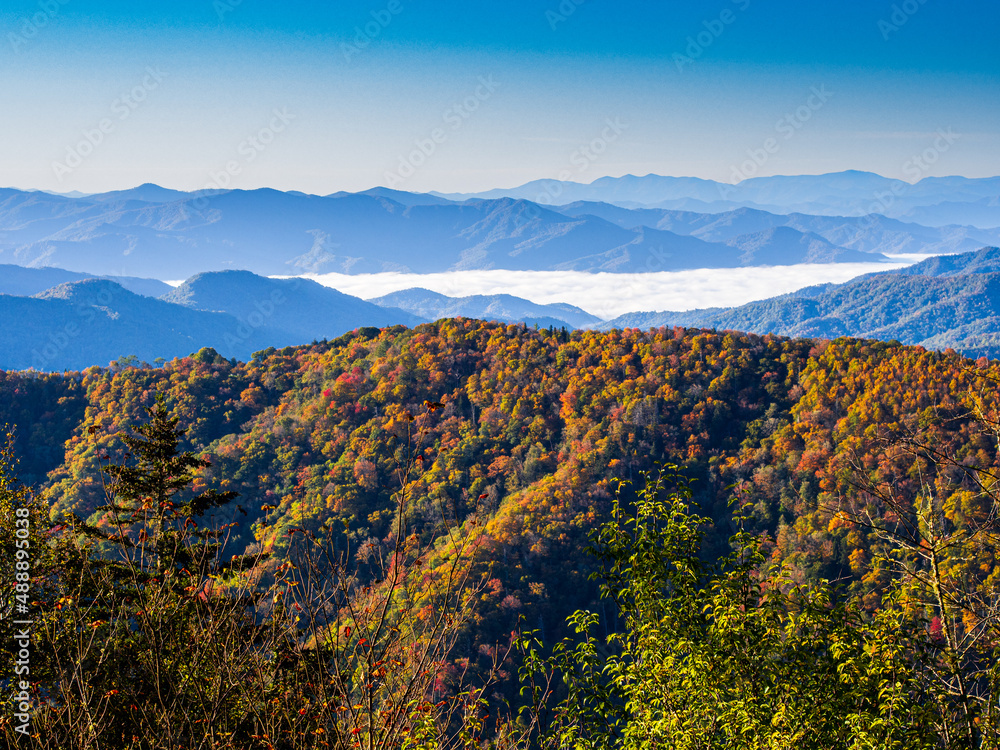 Mountains with fall colored trees with low clouds and fading mountains in the background in Smoky Mountains, Tennessee, USA.