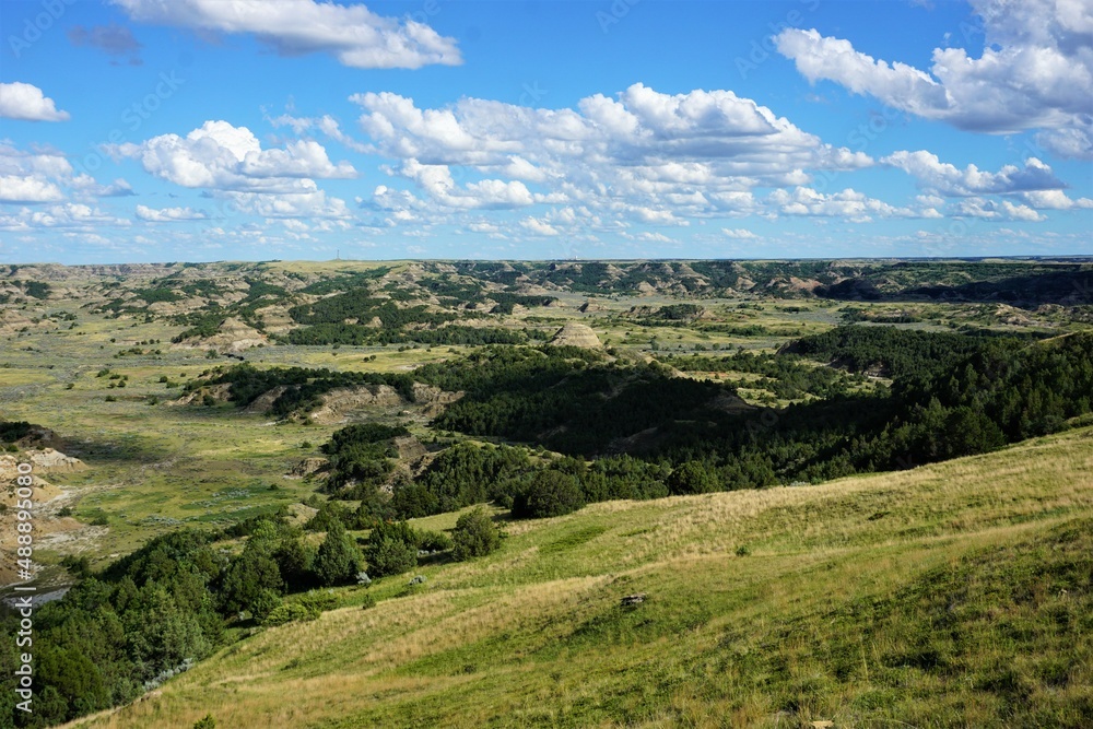More of Theodore Roosevelt National Park 