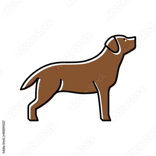 labrador retriever dog color icon vector illustration