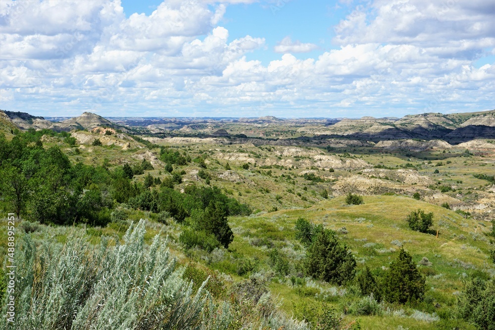 Obraz premium Theodore Roosevelt National Park 