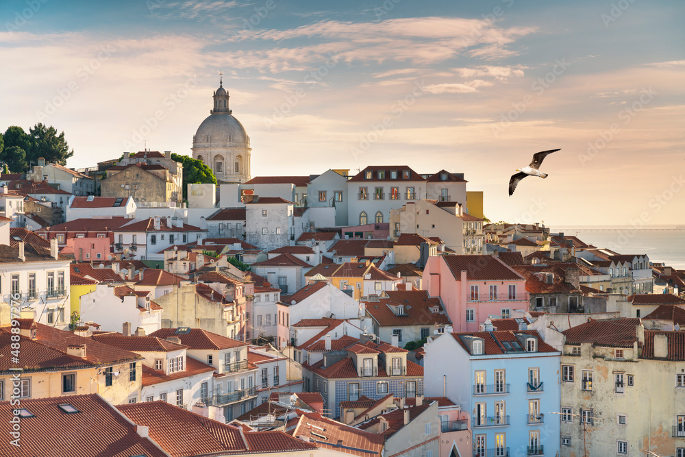 Fototapeta premium View of the typical Alfama neighborhood in Lisbon, Portugal - seagull flying in the sky.