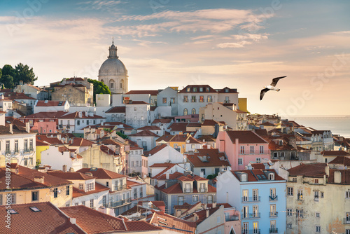 Bild auf Leinwand View of the typical Alfama neighborhood in Lisbon, Portugal - seagull flying in the sky