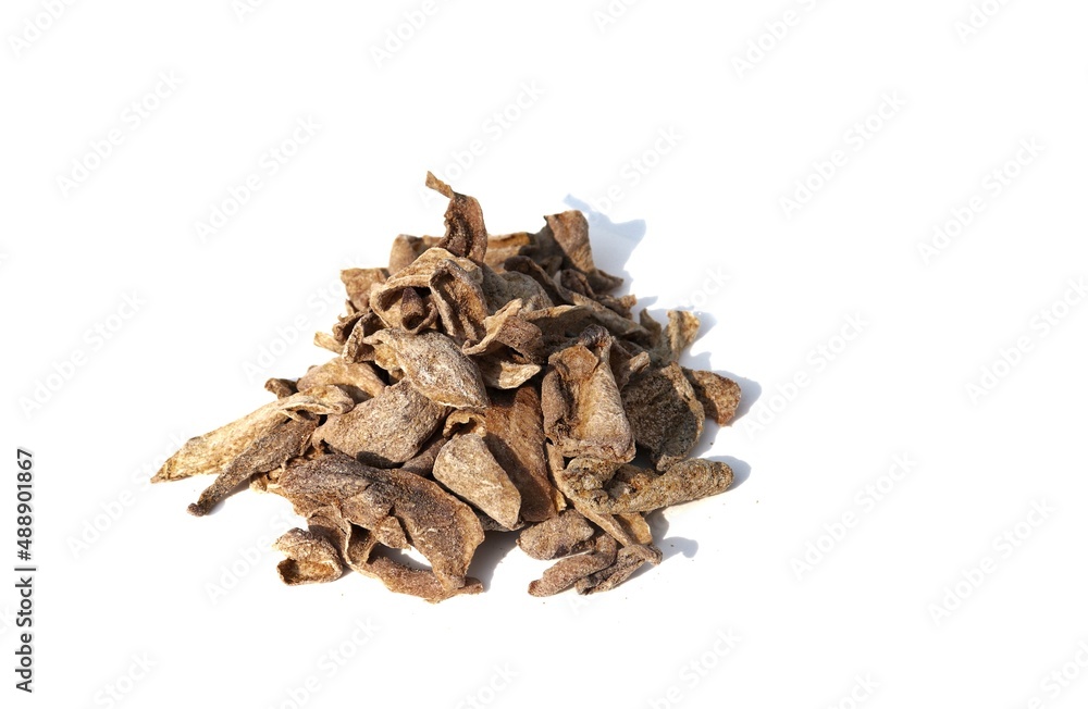 Closeup of Dry Mango Cuts or Slices Isolated on White Background Closeup of Dry Mango Cuts or Slices Isolated on White Background