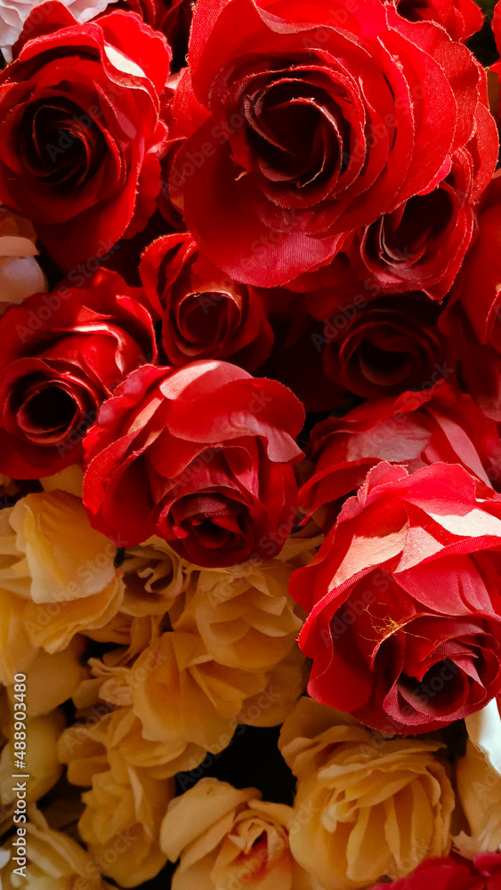 red roses background red roses background