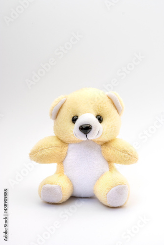 Cute teddy bear on white background