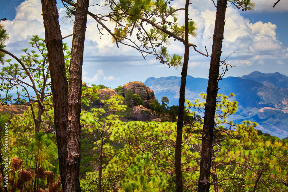 paisaje natural con una roca en forma de perro enmarcada con un par de arboles y un cielo con nubes y flora tropical paisaje natural con una roca en forma de perro enmarcada con un par de arboles y un cielo con nubes y flora tropical