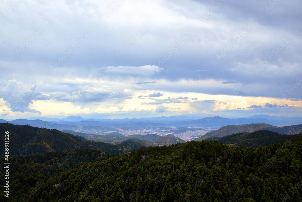 Fototapeta premium bosque de coniferas y montañas con una ciudad en el fondo y un cielo nublado 