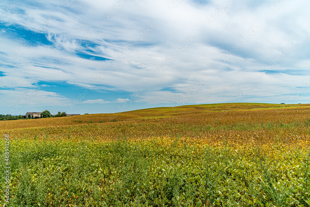 Farm field