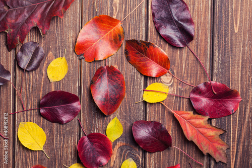 Fotografie Autumn leaves