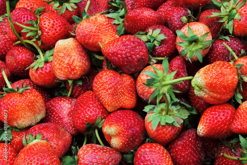 close up  Beautiful red ripe strawberries in top view.