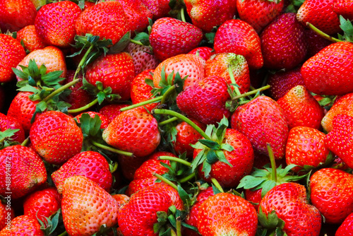 close up  Beautiful red ripe strawberries in top view.