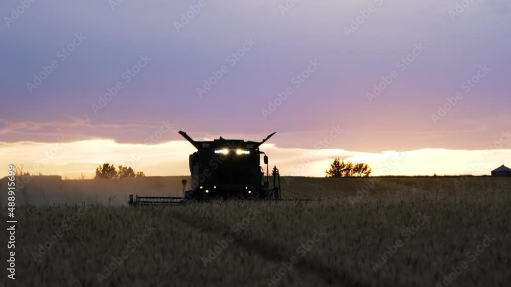 Combine harvester in sunlight at sunset. Harvesting wheat on the golden field. Telephoto view. Agriculture scene in the countryside. Harvester leaves a backlit trail of dust. Combine harvester in sunlight at sunset. Harvesting wheat on the golden field. Telephoto view. Agriculture scene in the countryside. Harvester leaves a backlit trail of dust.